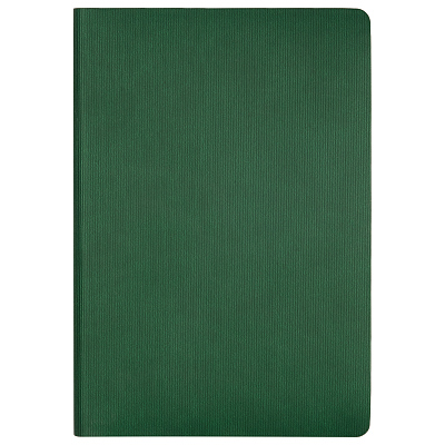 Ежедневник Рейн (Rain) недатированный, зеленый (без упаковки, без стикера)