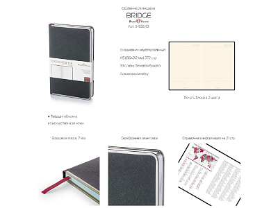 Ежедневник недатированный А5 Bridge