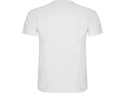 Спортивная футболка Montecarlo мужская