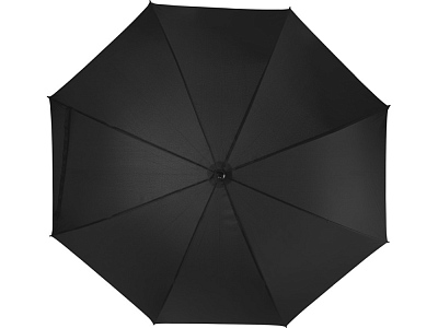 Зонт-трость Ibi