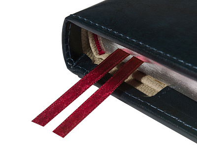 Ежедневник полудатированный А5 Windsor