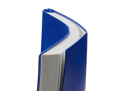 Подарочный набор блокнот А5 и металлическая шариковая ручка Nabokov