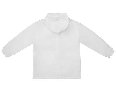 Ветровка Miami 2.0 мужская