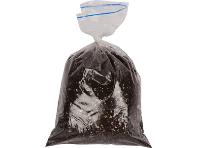 Подарочный набор Вырасти Бонсай дома. Годжи