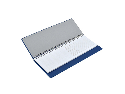 Планинг датированный Velvet на 2026 год