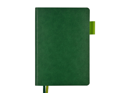 Ежедневник А5 датированный Boston на 2026 год