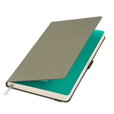 Ежедневник Альфа (Alpha) недатированный, серый/бирюзовый (Серый, бирюзовый, бежевый)