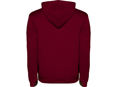 Толстовка с капюшоном Urban мужская