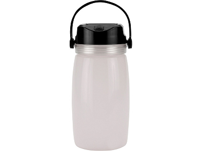 Бутылка Firefly