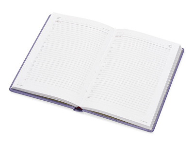 Ежедневник недатированный А5 Velvet