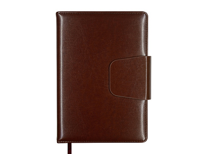 Ежедневник недатированный А5 Prestige