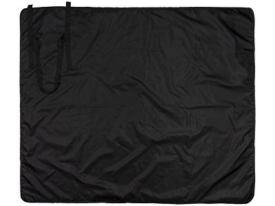 Плед Picnic с ремнем для переноски