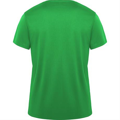 Спортивная футболка DAYTONA унисекс, ПАПАРОТНИКОВЫЙ 3XL