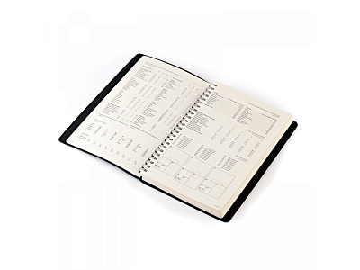 Ежедневник недатированный А5 Milano