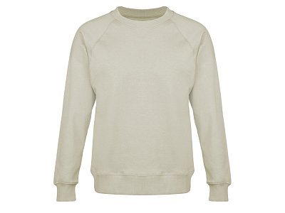 Свитшот оверсайз с рукавом реглан Belgrade, унисекс