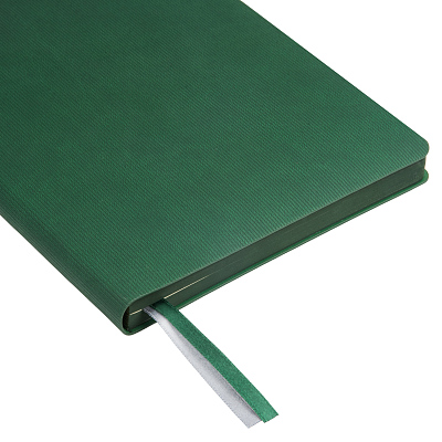 Ежедневник Рейн (Rain) недатированный, зеленый (без упаковки, без стикера)