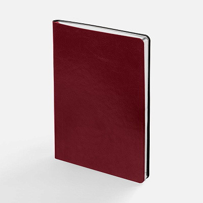 Ежедневник Nebraska Flex, недатированный, красный с золотистым (Серебристый)