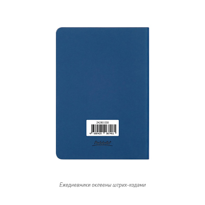 Ежедневник Spark mini A6 недатированный, синий