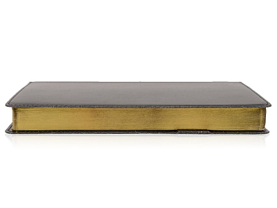 Ежедневник полудатированный портфолио А5 Profy