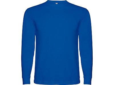 Футболка с длинным рукавом Pointer детская (Королевский синий)