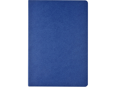 Бизнес тетрадь А5 Pragmatic