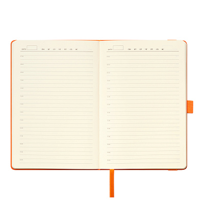 Ежедневник Альфа (Alpha) недатированный, оранжевый/оранжевый