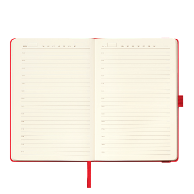 Ежедневник Альфа (Alpha) недатированный, красный/серый