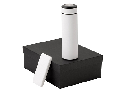 Подарочный набор COLOR IT c термосом и повербанком (Белый)