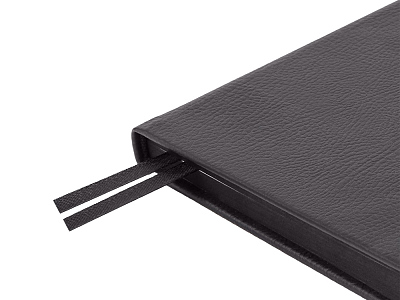 Ежедневник недатированный А5 Megapolis Nappa