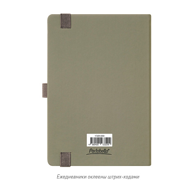 Ежедневник Alpha недатированный, серый/бирюзовый