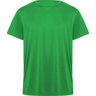 Спортивная футболка DAYTONA унисекс, ПАПАРОТНИКОВЫЙ S (Папаротниковый)