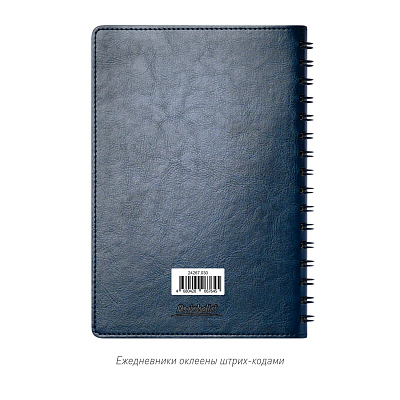 Ежедневник Виста Нео (Vista Neo) недатированный, синий