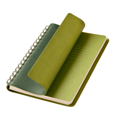 Ежедневник Виста (Vista) недатированный, зеленый/салатовый (Зеленый, бежевый)