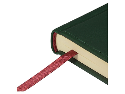 Ежедневник недатированный А5 Velvet Index с индексами