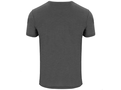 Футболка Terrier мужская