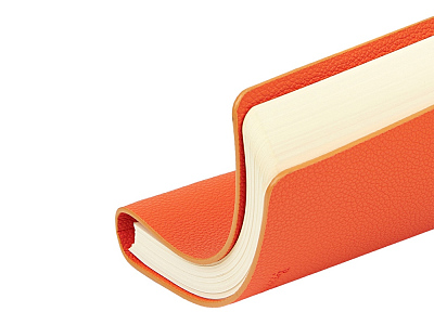 Ежедневник недатированный А5 Alba