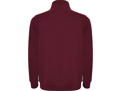 Свитшот Aneto мужской