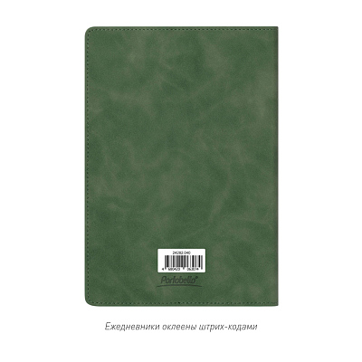 Ежедневник Verona недатированный, зеленый