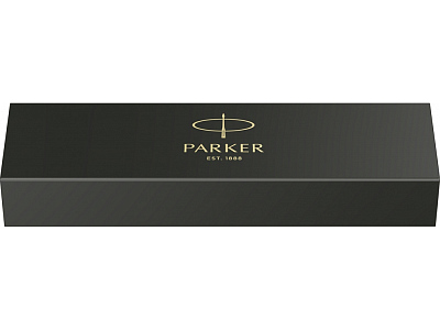 Ручка перьевая Parker IM Vibrant Rings Flame Blue