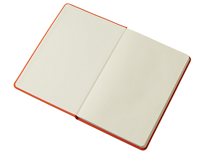 Блокнот в твердой обложке A5 Виспи в клетку