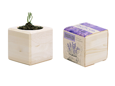 Набор для выращивания Лаванда