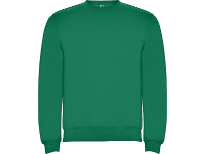 Свитшот с начесом Clasica унисекс (Зеленый)