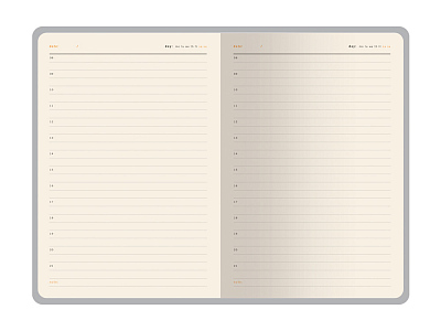 Ежедневник недатированный А5 Boston