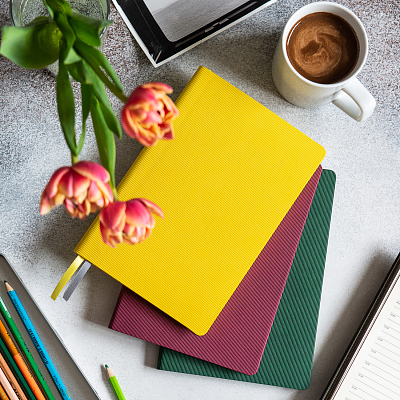 Ежедневник Рейн (Rain) недатированный, зеленый (без упаковки, без стикера)