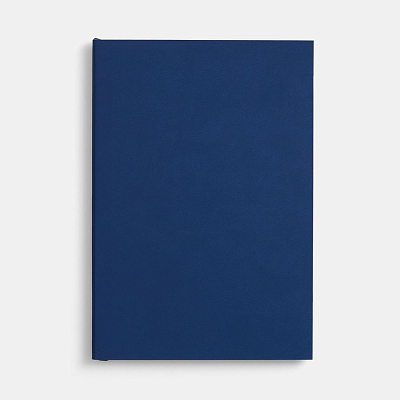 Ежедневник Flat, недатированный, синий, ver.2