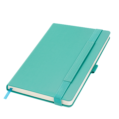 Ежедневник Альфа (Alpha) недатированный, бирюзовый/серый