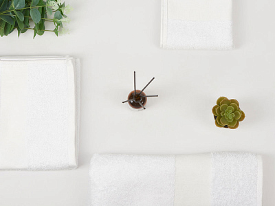 Полотенце Terry 450, S