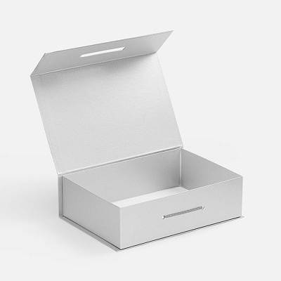 Коробка Case, серебристая (Серебристый)