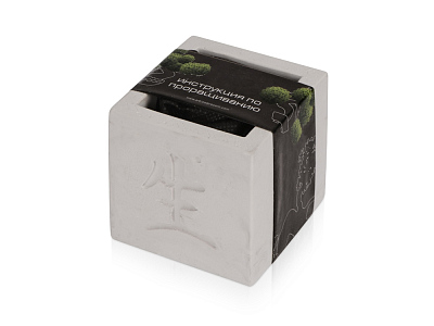 Подарочный набор Вырасти Бонсай дома. Сосна