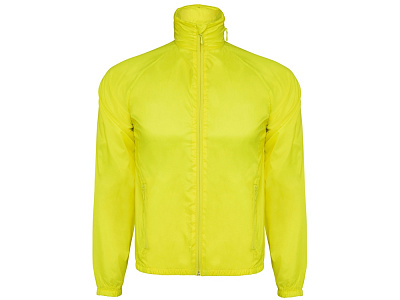Ветровка Kentucky мужская (Неоновый желтый)